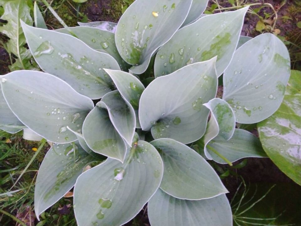 ��������� ������ ��� �����: ������� ����������� ������