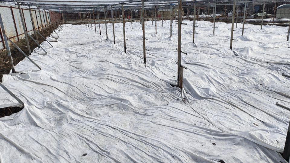 ��� �������� ������ ��������� �� �������� ����������: ������ ��� ���������