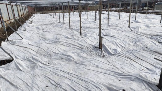 ��� �������� ������ ��������� �� �������� ����������: ������ ��� ���������