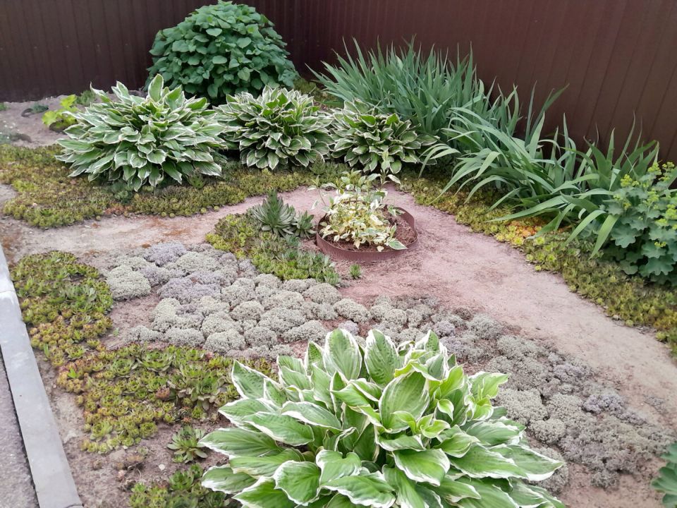 ����-������� �������: ��� ������� ����������� ��� ��� �����