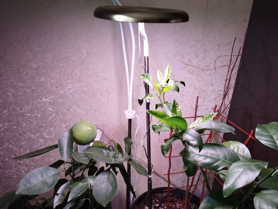 ���������� �����: ��� ��������� �������� ��������