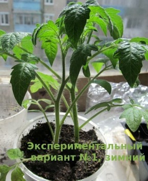 ��� ������ ��������� �������: 4 ����������� ��������� ��� ����� ������� � �������� �����