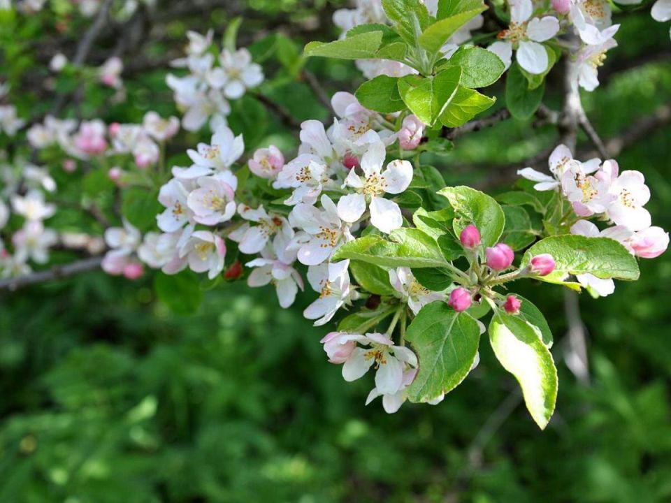 ��� ������� ����� ����� ������: ������ �� �������� ����� ������ �������