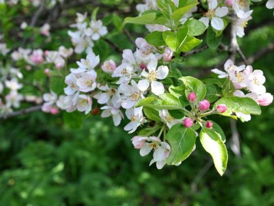 ��� ������� ����� ����� ������: ������ �� �������� ����� ������ �������