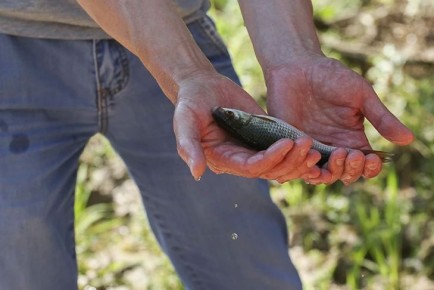 ������ �� ������� �������� � ���� � ������������ � 20 ������