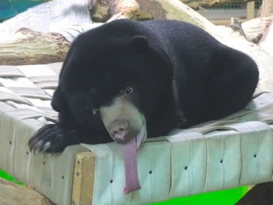 ��������� ��������� � ������������� �������� ������� ������ ����