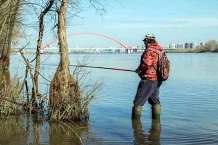 � ������������� ������� ���������� ������� � 20 ������ 2026 ����