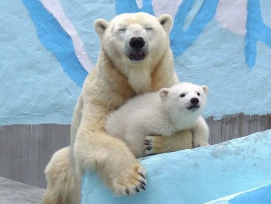 �������, ����� �� ����� �� ���������� �� ��������! ������ ����� ���������� ����� � �����������