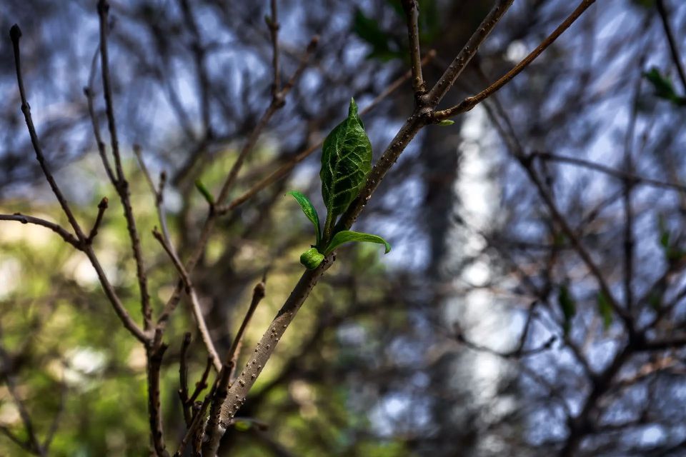 ��������� � ����� ������� �������� ������������ ��������� ���