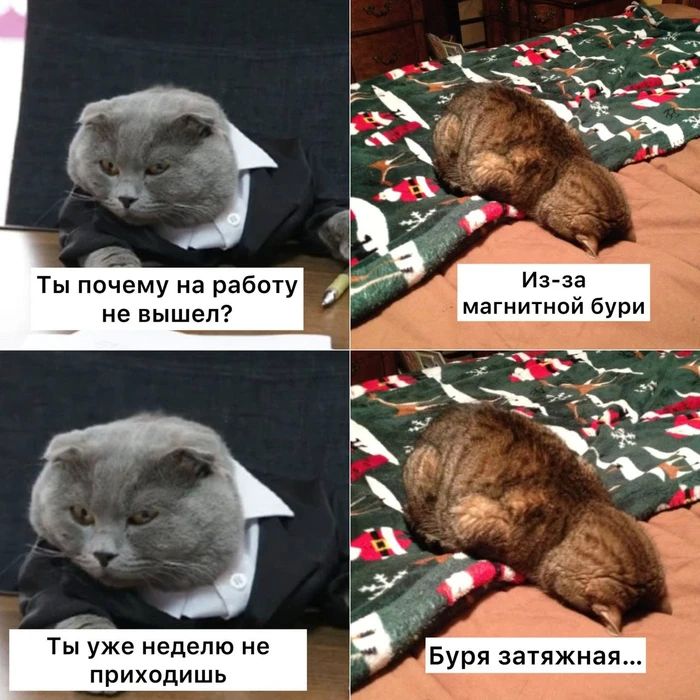 ������� ��������� ���� � 20 �� 26 ������