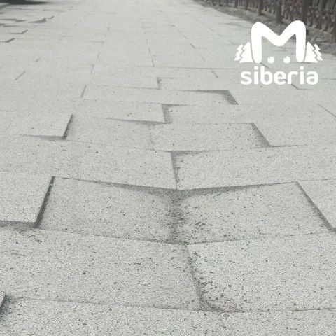 ����� ������ ������� �� ������ � ������������