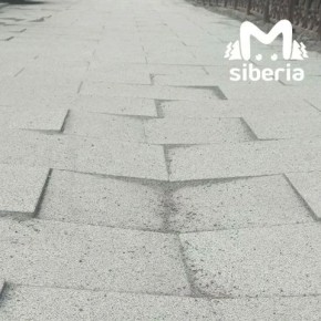 ����� ������ ������� �� ������ � ������������