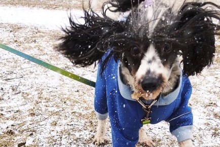 ���� ����� ������� � ������������ � �������� ���� 20 ������