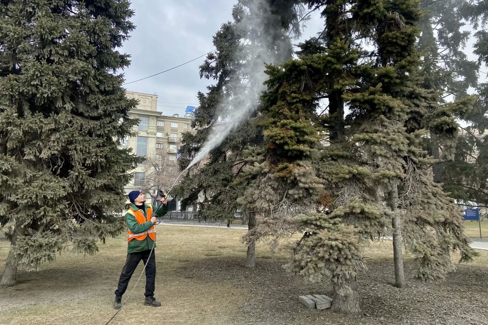 ������ ���������: ����������� ������������� �������� ���������� ������� �������� � ������ � �������, ������ �� �� ����