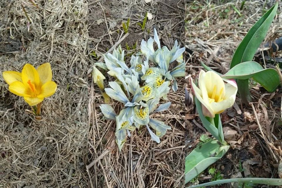 ������������� ������� �������� ������ �������� ����� �� ��������