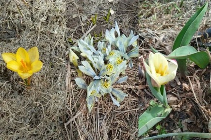 ������������� ������� �������� ������ �������� ����� �� ��������