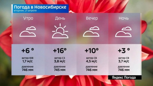 ������� ������ �� 21 ������ 2026 ���� � ������������� �������