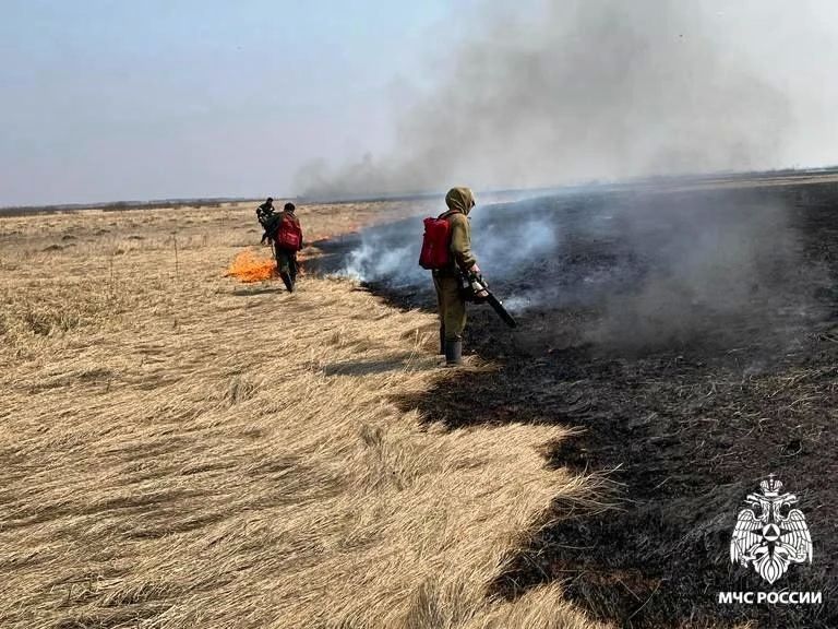 �� ����� � ������������� ������� ������������� 100 ����������� �����, 76 �� ��� � � ���������������� ���� �� ���������� �������