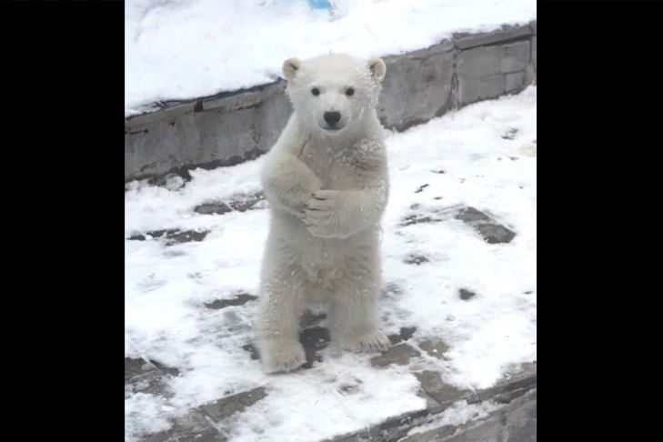 ���������� ��� � ����� � ������������ ������ ������ �� ���� �����