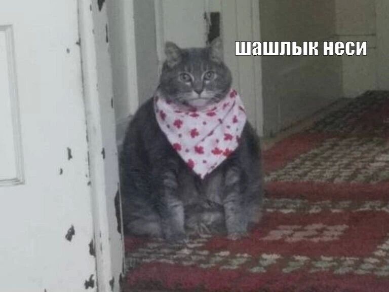 ����� ������� ���������� ����� ������� � ���� � ����� 70 �������