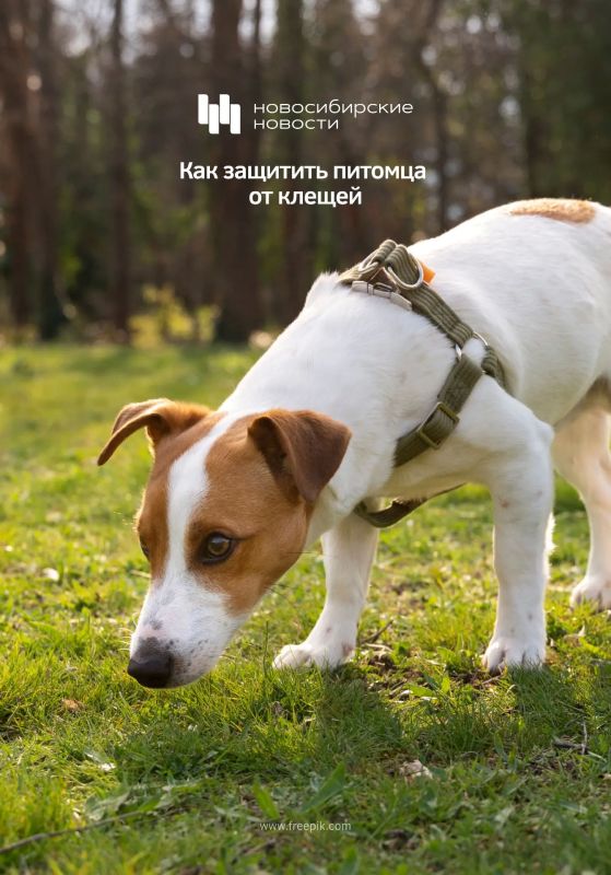 � ������������ � ������� ����� ��� ����� �� �������� � ��������� ����� ������ � ����� � �� ��������, ��� ��� ����� ����