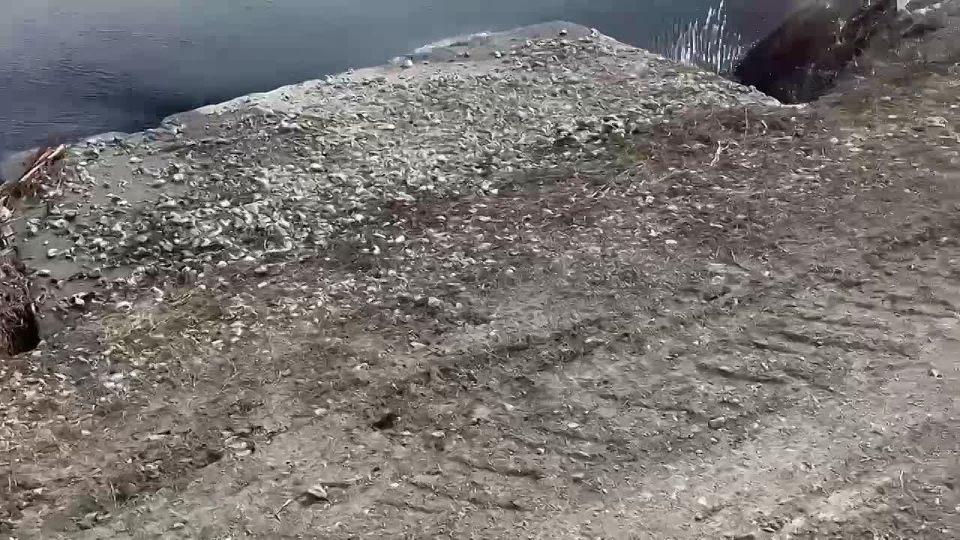 �������� ���������� � ������� ���������� � ��������� ������ ������������� ������� ��������� ��������� ��-�� ���������� ������� ������ �-3218 � ���������� �������