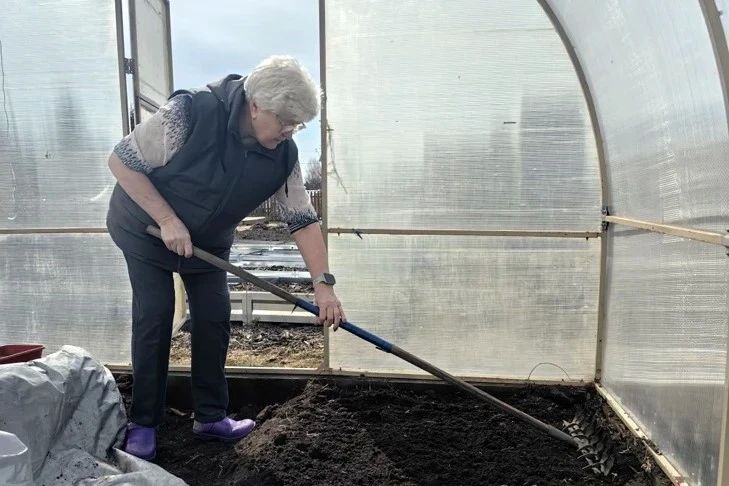 ������ ��������� �� +26: ��������� ������� ������ �� ���-2026 � ������������