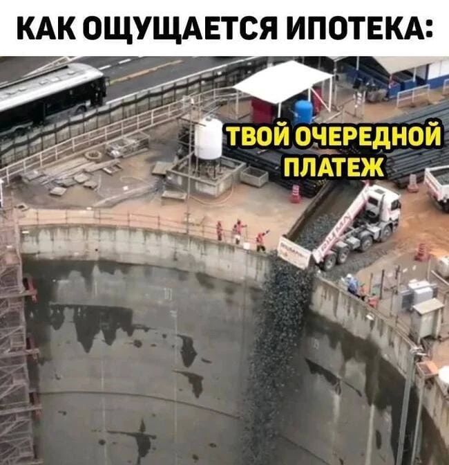 ������ ����� �������� �� ����������� � �������� � ������������� ������� ������ 57%