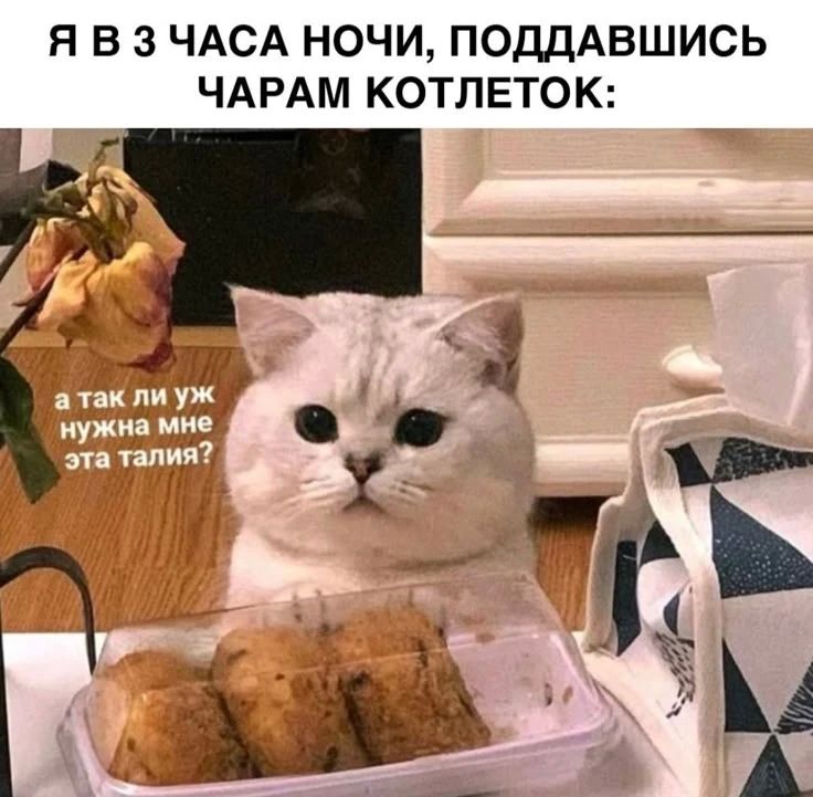 ���-5 ���������, ������� ����� ������ �� ���� ��� ����� ��� ������ � ��������