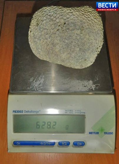 ����������� �� �����. �� ������� � ��������� ��������� � ����������� ����� ����������� �������