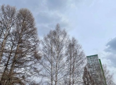 � �������� ������ ��� ��� �������� � �� ��� ���������� ��-�� ����� �����