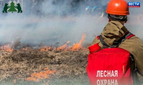 ��������������� �����. � 20 ������ �� 15 ��� �� ���� ���������� ������������� ������� ��������� ��������� ���� �������� ������������