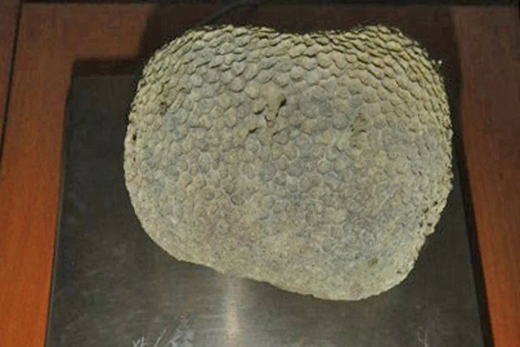 ������� ��������� � ��������� ��������� � ����������� ���������