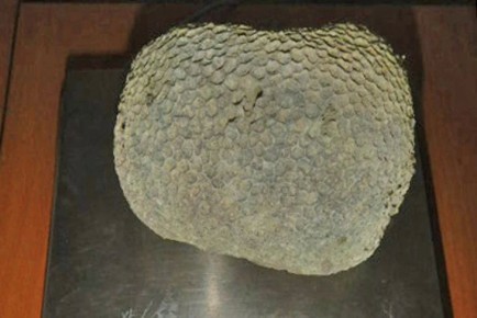 ������� ��������� � ��������� ��������� � ����������� ���������