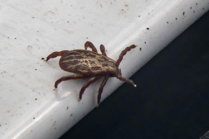 ����� ����� ������ ������ ������� ������������� ������� � ������-2026