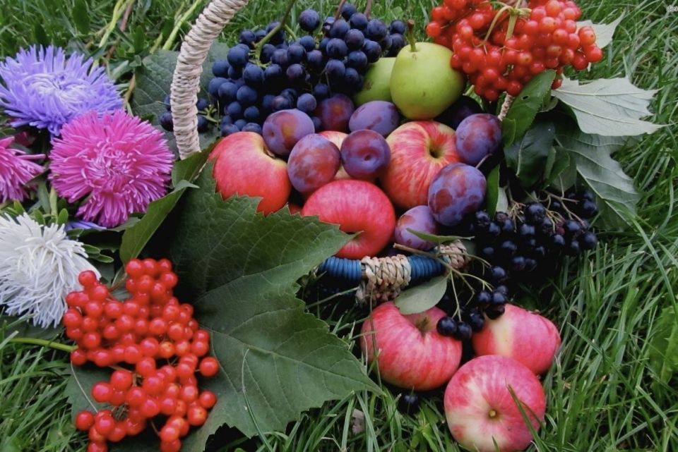 ������� ������� � �������: ��� �������� ������� ������� ��������