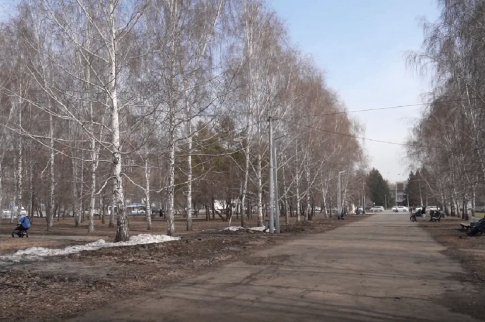 ��������������� ����� 110-� ��������� ������������ �������� � ����� ����