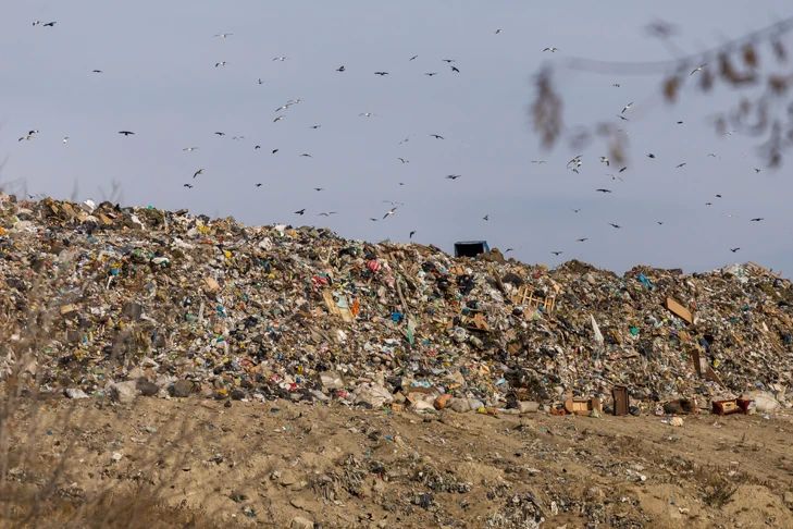 ����� ������� �������������� �������� ������� ������ ��� �� ���