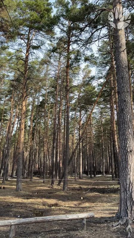 ������ ������� ���� �������: � ������������ ���� ������ ���� ������� �����