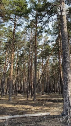 ������ ������� ���� �������: � ������������ ���� ������ ���� ������� �����