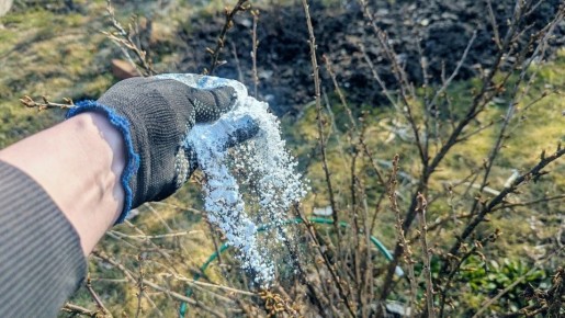 ��� ��������� ������������� ��������� � ������: ������� ��������� ������