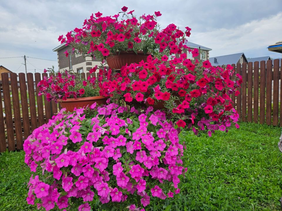 ��� ������ ��������� �������: ������� ��������� ��������