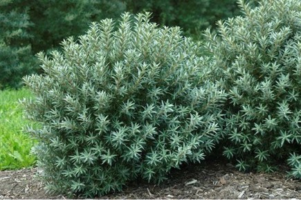 �������� �����: ��� ���� ������������ ���� ����� ����������� ��� ���