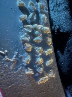 � ������������� ������� � ��� ���������� ��������� ���� � ��������� ������ ������ �������, ����������� � ��������� �� ���� ����������