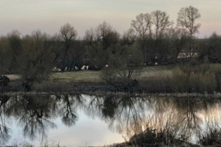 ������� ������� ������ � ������������� �������