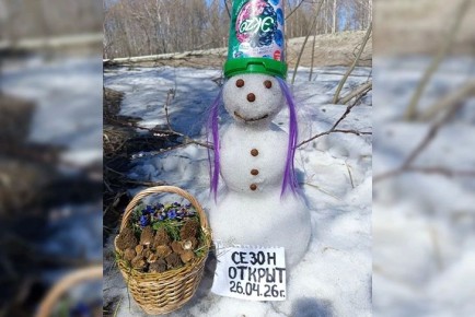 � ������������� ������� 26 ������ ������ ������� �����