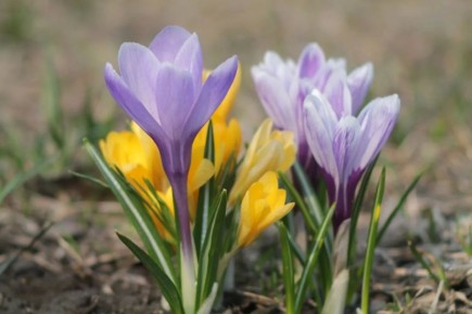 ���� ����������� ���������� � +17�