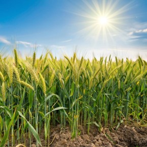 ������� ��������� ������: ��� �������� ������������� ������ �������