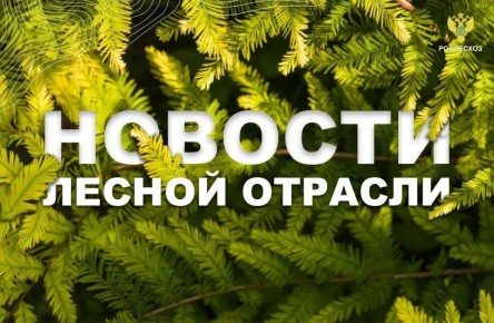 ��� ������: ��������� ������� ������� ������� �������� ������ �������