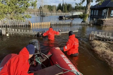 ����� ������� �� ������: ����� �� ����� � ����������� ������